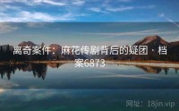 离奇案件：麻花传剧背后的疑团 · 档案6873