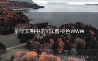 星际文明中的YSL蜜桃色WWW