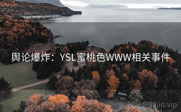 舆论爆炸：YSL蜜桃色WWW相关事件