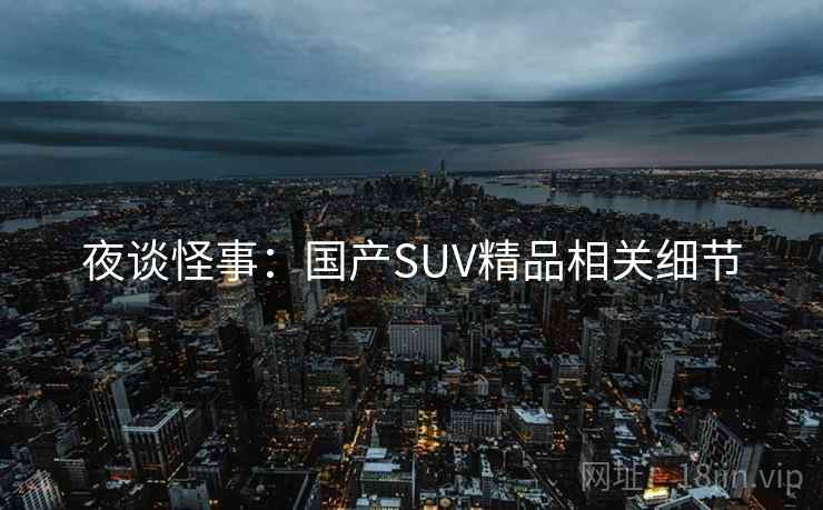 夜谈怪事：国产SUV精品相关细节
